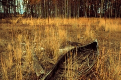 DRY_LAND_CANOE_72dpi_large