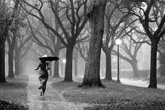 GIRL_IN_RAIN__72dpi_large