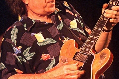 ELVIN_BISHOP_guit_solo_72_large