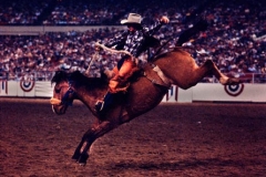 HOUSTON-LIVESTOCK-RODEO-300_large