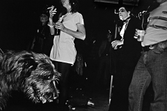 PARTY_DOG_72_dpi_large